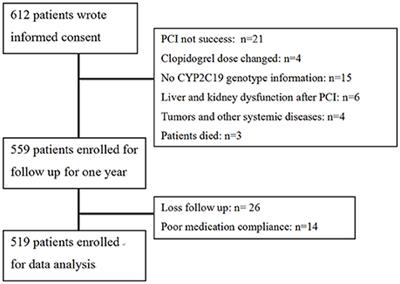 Impact of CYP2C19 Variants on Clinical Efficacy of Clopidogrel and 1-Year Clinical Outcomes in Coronary Heart Patients Undergoing Percutaneous Coronary Intervention